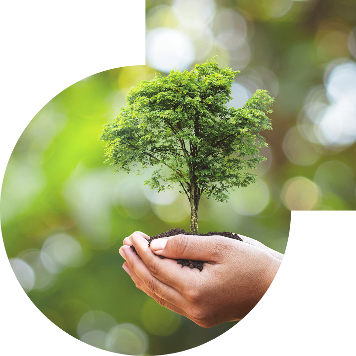 關懷人類、文化、環境與社會